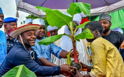 NIGER STATE GOVERNMENT FLAGS-OFF THE DISTRIBUTION OF ONE MILLION BANANA SUCKERS TO 250,000 HOUSEHOLDS ACROSS THE STATE